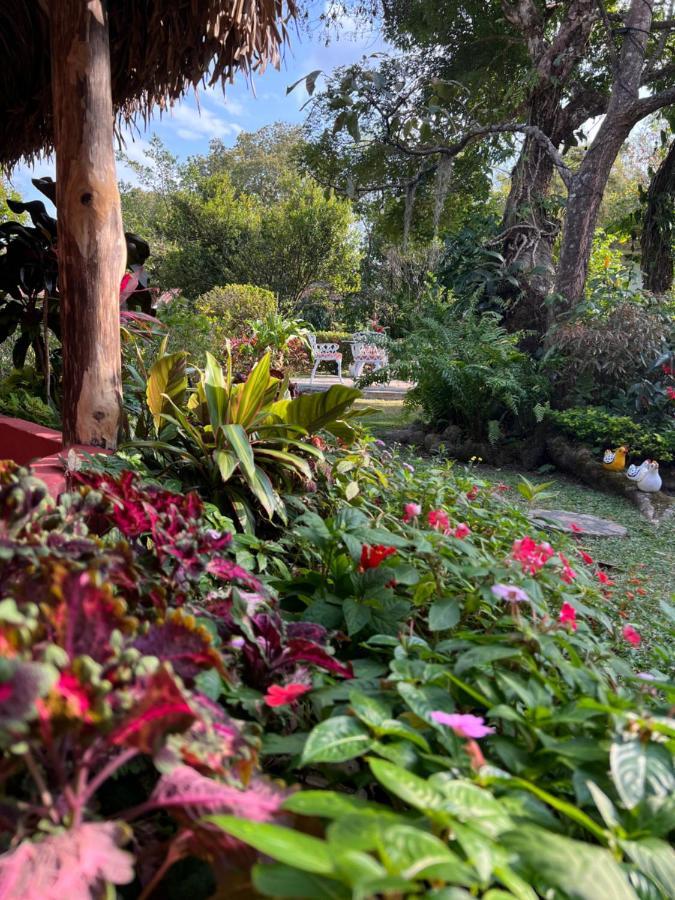 Casa Grimaldo Bed & Breakfast El Valle de Anton Exterior photo